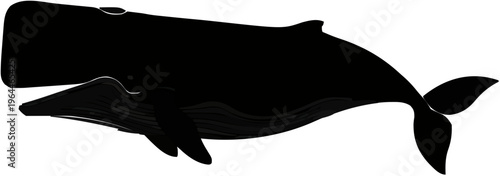 Sperm Whale Silhouette – Flat Vector Plotter Cut File