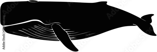 Sperm Whale Silhouette – Flat Vector Plotter Cut File