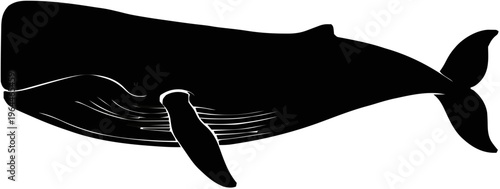 Sperm Whale Silhouette – Flat Vector Plotter Cut File