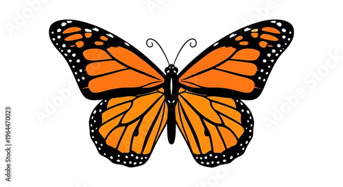 A vibrant orange monarch butterfly illustration with black and white details, set against a clean white background.