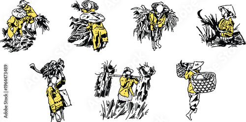 Asian Rice Field Harvest Farming Activity Illustration