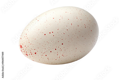 Speckled egg PNG isolated on transparent background, natural bird egg with spots for Easter and nice food design