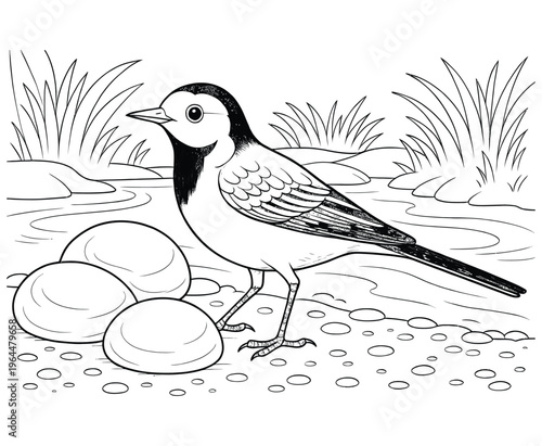 Bird near water with reeds and stones, three eggs nearby.