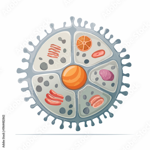 Virus cell structure illustration with organelles.