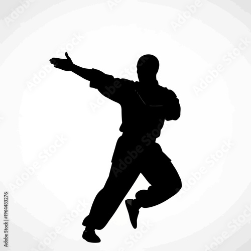 Silhouette of a Martial Artist Performing a Punching Technique.