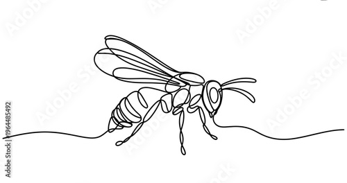 A minimalist continuous line drawing of a bee isolated on a plain white background for design