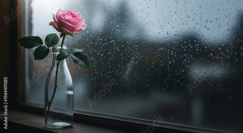 Beautiful Pink Rose in Glass Vase Against Rainy Window Background