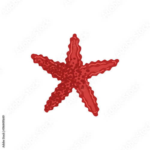 Red sea starfish isolated on a white background. Underwater world. Tropical summer beach. Vector illustration.