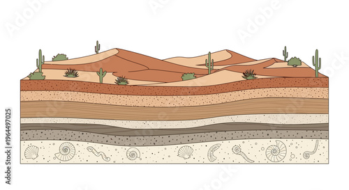 Cross-section of desert landscape revealing geological strata and ancient fossils.