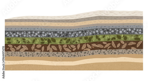 Illustration of a layered soil profile, showcasing different geological strata and organic matter.