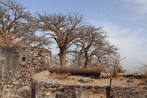 Kunta Kinteh Island, the Gambia. 24-02-2026. Remains of a fort. Island is formerly called James Island and St Andrew's Island, an island in the Gambia River.