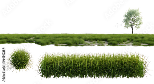 Wallpaper Mural Green grass patches and single tree isolated on white background architecture landscape design elements for site plan rendering and outdoor environment visualization Torontodigital.ca