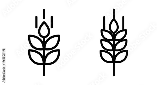 Wheat stalk and cereal crop icons showing agricultural harvest symbols for organic farming concepts and natural grain food production industry