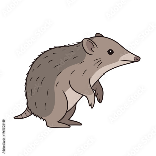 Cute grey hedgehog standing on white background looking right