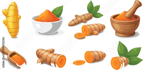 Fresh Turmeric Root Vector Set with Slices, Curcumin Powder in Bowl, Mortar and Pestle, and Green Leaves for Healthy Food and Spice Designs