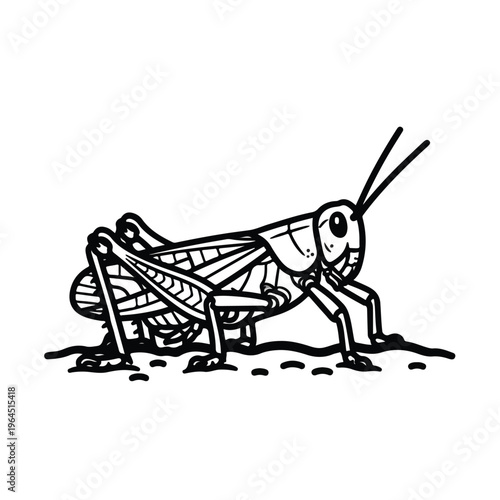 Grasshopper standing on ground with bent hind leg