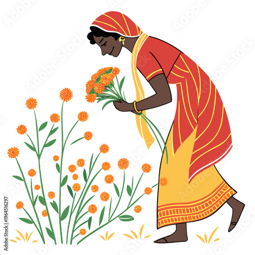 Woman in traditional indian clothing picking orange flowers from a garden