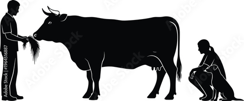 Black silhouette of male veterinarian feeding cow with hay while female vet crouches with dog on white background for farming