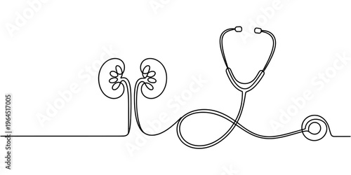 A single continuous line drawing showing a human kidney icon connected to a medical stethoscope.