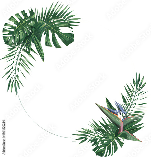 A circular frame arrangement composed of lush tropical palm leaves and vibrant bird of paradise isolated on transparent background