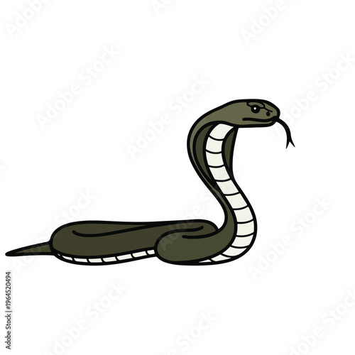 Cartoon snake with white belly and dark green body on white background