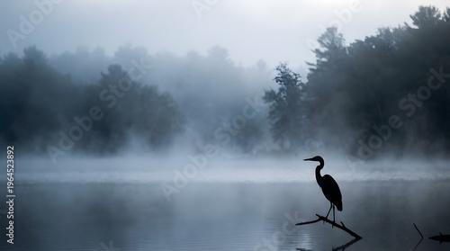 A heron silhouette stands on a branch over misty water with trees in the background on a foggy day