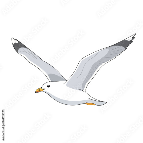 Seagull flying in air with outstretched wings and orange beak