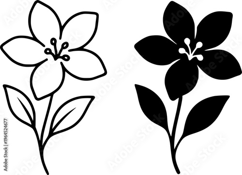 Jasmine flower illustration, outline and silhouette, for plant or nature logo design