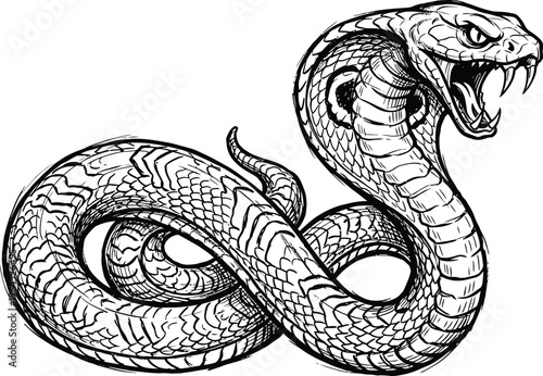 A menacing snake illustration with an open mouth and sharp fangs, coiled in a threatening posture, showcasing its scaly skin and aggressive demeanor.