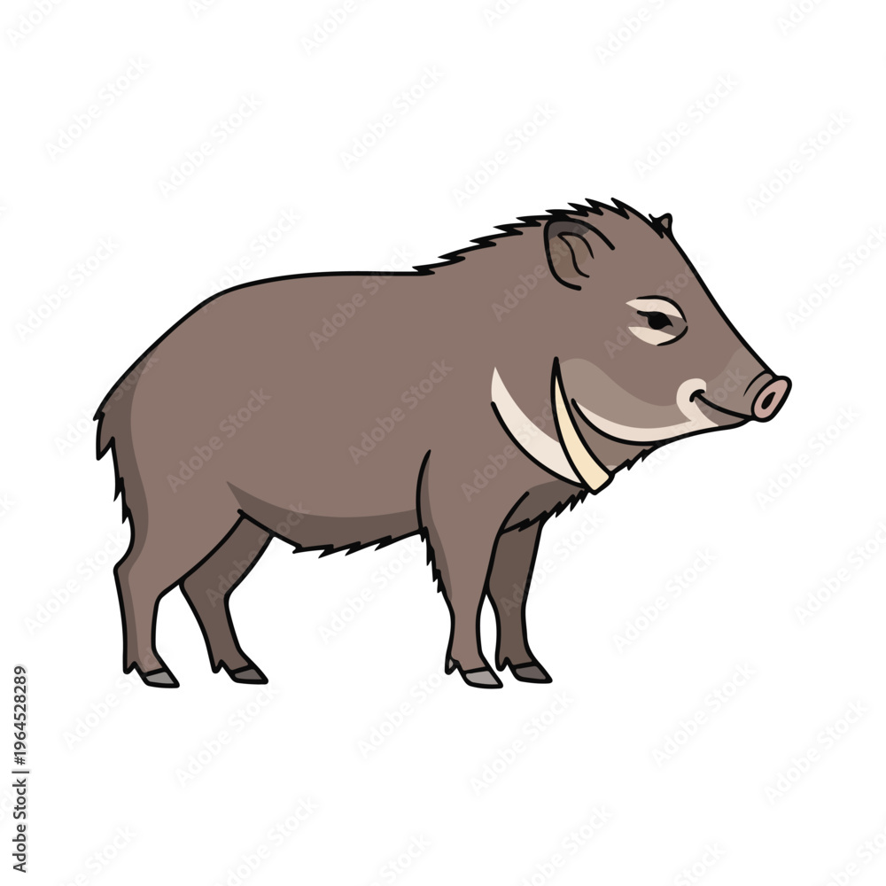 Fototapeta premium Wild boar standing profile view