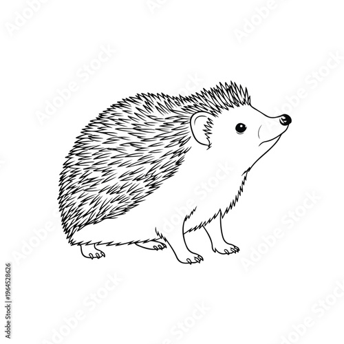 Hedgehog in profile with prickly spines on back standing still