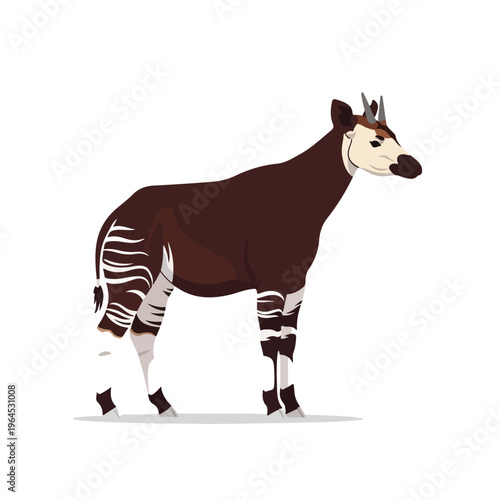 African wild animal with distinctive brown and white stripes standing isolated