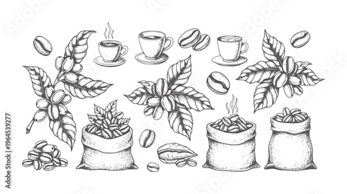 Hand drawn coffee beans branches cups and sacks leaves
