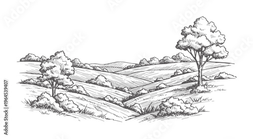 Hand drawn of rolling green hills with trees and bushes landscape