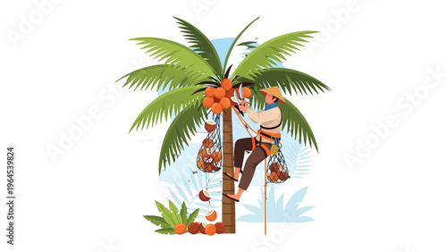 Coconut Harvest: A skilled farmer meticulously harvests ripe coconuts from a towering palm tree, showcasing the vibrant colors of nature's bounty.