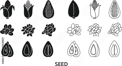 Vector Illustration of Various Seeds and Plants Including Corn, Flower Seeds, and Nature Elements for Gardening, Agriculture, and Farming Graphics