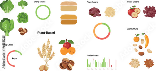 Plant based diet infographic vector with food groups, fruits, vegetables, grains, nuts and seeds, healthy vegan nutrition chart and balanced eating illustration