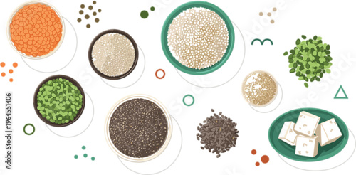 Plant based protein ingredients vector with lentils, quinoa, tofu, seeds and legumes, healthy vegan nutrition foods arranged in modern flat style illustration