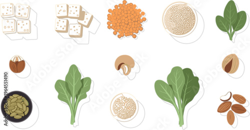 Plant based protein ingredients vector set with tofu, lentils, grains, nuts, seeds and leafy greens, healthy vegan nutrition illustration in flat style