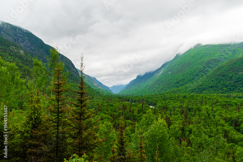 Fotografi Magnificent glacial valley covered in a verdant forest