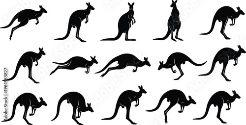 Kangaroo Silhouette Vector Set Featuring Australian Wallaby Icons in Various Jumping Standing and Hopping Poses for Wildlife Nature and Logo Design