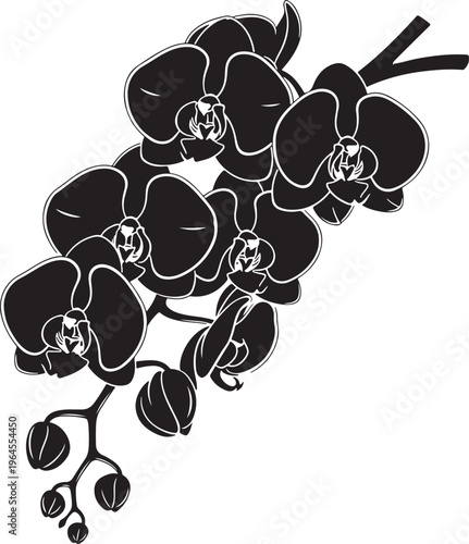 Black orchid flowers, floral vector icons, white background, botanical illustrations, decorative plant designs