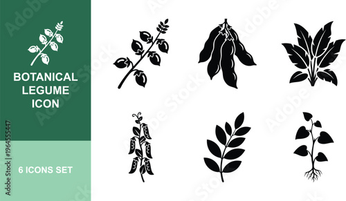 Botanical legume icon set vector illustration of peas beans and plants for healthy food and agriculture.