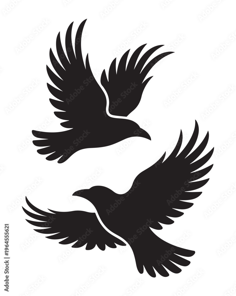 Fototapeta premium Pair of Flying Crows or Ravens Silhouette