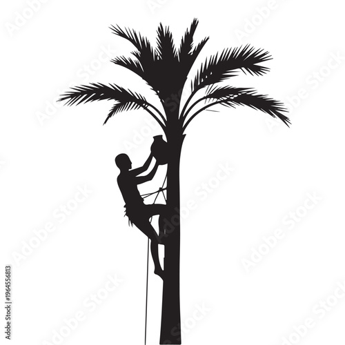 Man Climbing Palm Tree Silhouette Vector Illustration