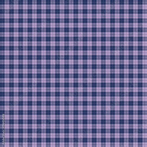 Dark blue and purple plaid pattern with detailed grid, seamless geometric textile design, bold and modern background perfect for fashion and branding.