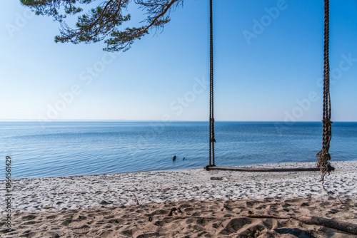 Rope swing on a sandy beach overlooking the calm Baltic Sea under a clear sky
