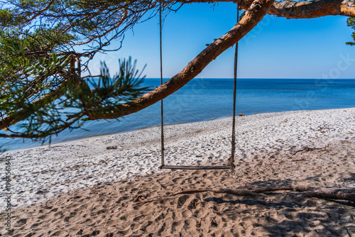 Empty swing hanging from a pine tree branch over a sandy beach and the Baltic Sea
