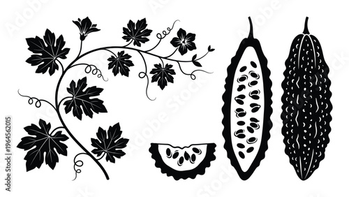 Bitter melon vine set with whole fruit cross section slice and leaves black silhouette vector art