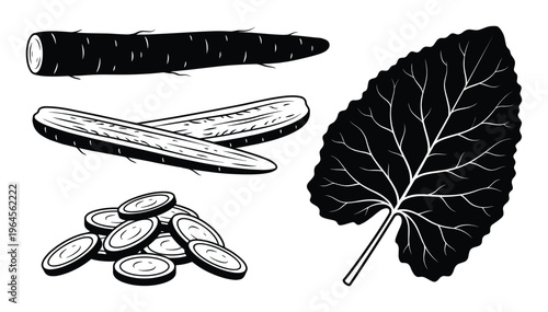Black silhouette of whole and cut root vegetables and pile of round slices with large leaf on transparent